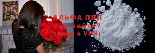 крисы Алексин